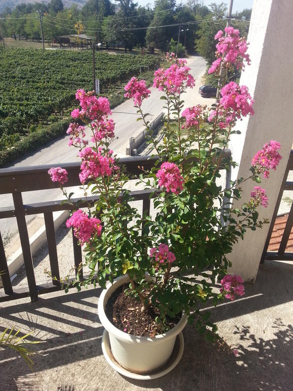 Guest House Robi Međugorje Buitenkant foto